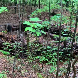 Triesenberg Hiking Trails - Triesen