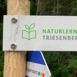 Triesenberg Hiking Trails - Triesen