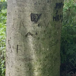 Hiking Trails around Vaduz - Vaduz