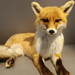 Liechtenstein National Museum - Vaduz