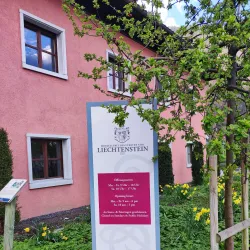 Liechtenstein Wine Museum - Vaduz