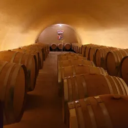 Liechtenstein Wine Museum - Vaduz