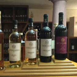 Liechtenstein Wine Museum - Vaduz