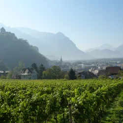 Liechtenstein Wine Museum - Vaduz
