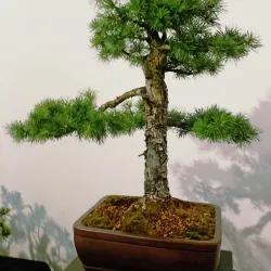 Alytus History Museum - Alytus