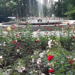 Alytus Park - Alytus