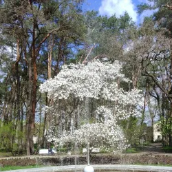 Alytus Regional Park - Alytus