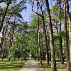 Alytus Regional Park - Alytus