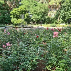 Alytus Regional Park - Alytus