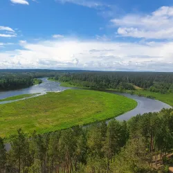 Dzūkija National Park - Alytus
