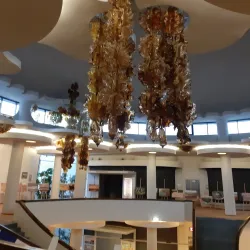 Aquapark Wellness Center - Druskininkai