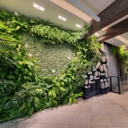 Druskininkai Aquapark - Druskininkai