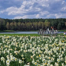 Druskininkai Regional Park - Druskininkai