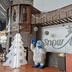 Snow Arena Fun Park - Druskininkai