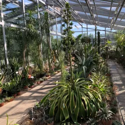 Jonava Botanical Garden - Jonava