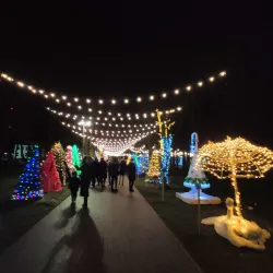 Jonava Cultural Center - Jonava