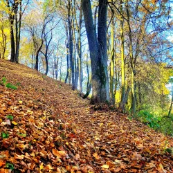 Jonava Park - Jonava