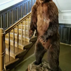 Joniskis Manor - Joniskis