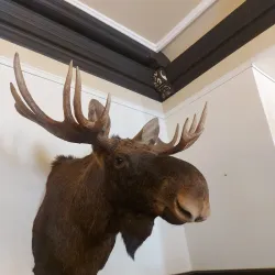 Joniskis Manor - Joniskis