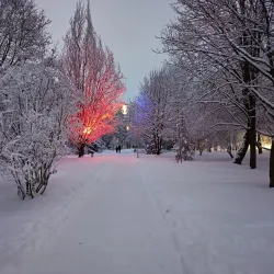 Joniskis Park - Joniskis