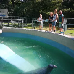 Kaunas Zoo - Kaunas