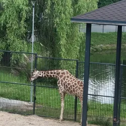 Kaunas Zoo - Kaunas