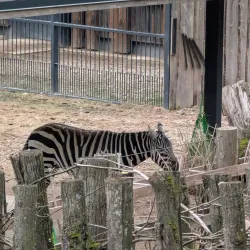 Kaunas Zoo - Kaunas
