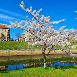 Nemunas Island - Kaunas