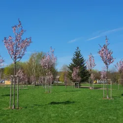 Nemunas Island - Kaunas