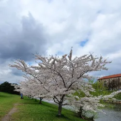 Nemunas Island - Kaunas