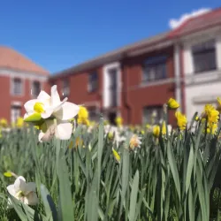 Kedainiai Synagogue - Kedainiai