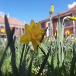 Kedainiai Synagogue - Kedainiai