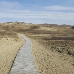 Curonian Spit National Park - Klaipeda