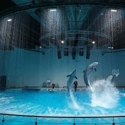 Curonian Spit National Park - Klaipeda