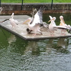 Lithuanian Sea Museum and Dolphinarium - Klaipeda