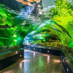 Lithuanian Sea Museum and Dolphinarium - Klaipeda