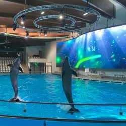 Lithuanian Sea Museum and Dolphinarium - Klaipeda