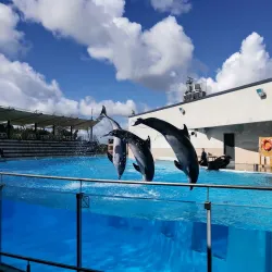 Lithuanian Sea Museum and Dolphinarium - Klaipeda