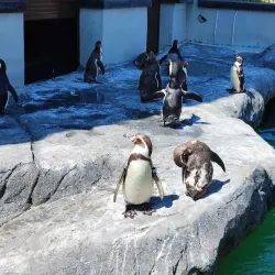 Lithuanian Sea Museum and Dolphinarium - Klaipeda