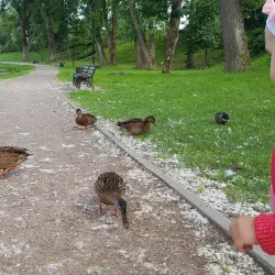 Kretinga Cultural Center - Kretinga