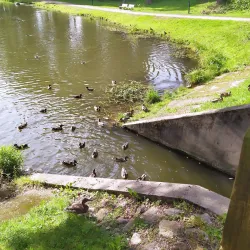 Kretinga Cultural Center - Kretinga