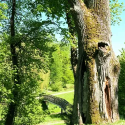 Kretinga Manor Park - Kretinga