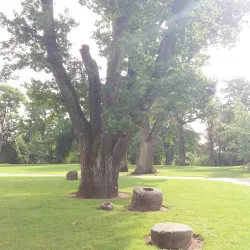 Kretinga Manor Park - Kretinga