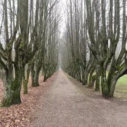 Kretinga Manor Park - Kretinga