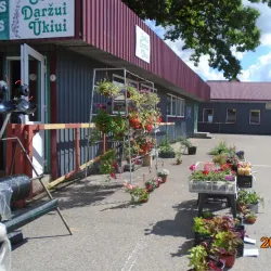 Kretinga Market - Kretinga