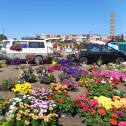 Kretinga Market - Kretinga