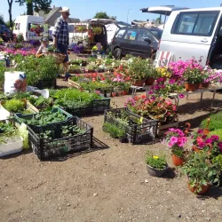 Kretinga Market - Kretinga