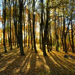 Kretinga Regional Park - Kretinga