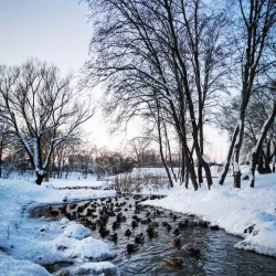 Kretinga Regional Park - Kretinga