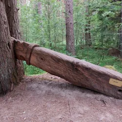 Kretinga Sculpture Park - Kretinga